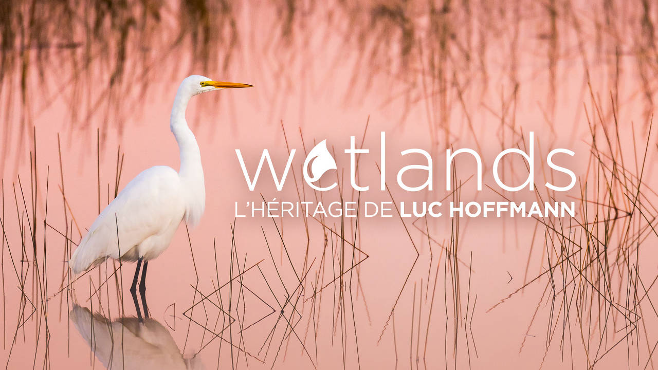 001. Wetlands, l'héritage de Luc Hoffmann